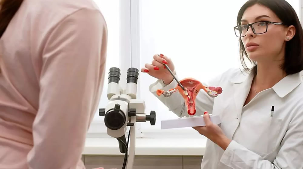 Check-up ginecológico anual